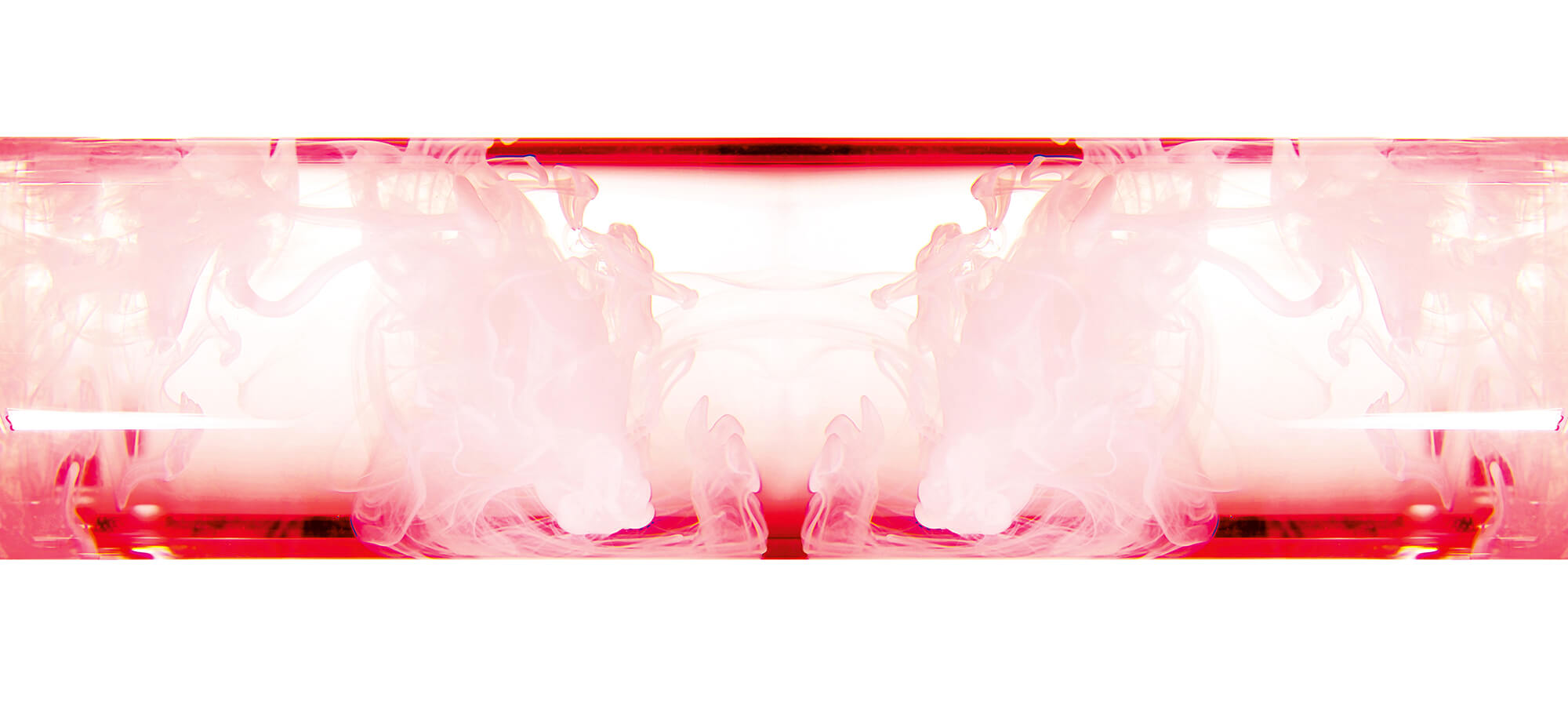 BANNERS_PRO XYLANE_6